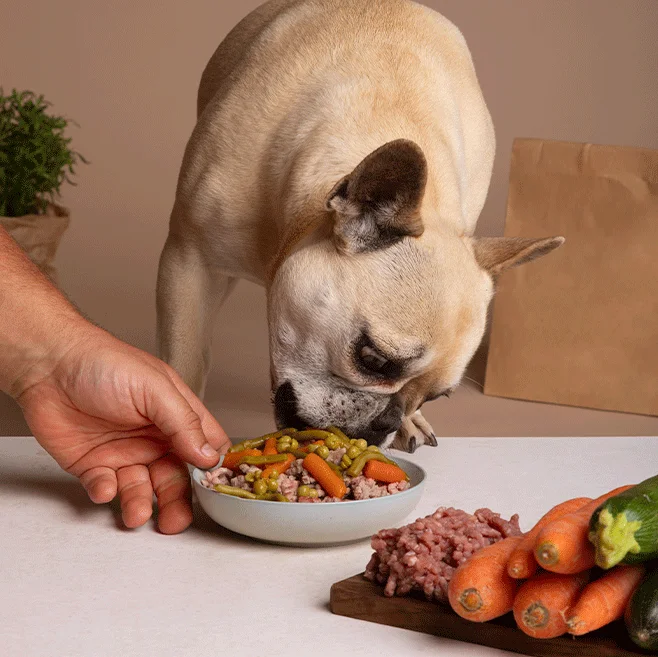 Tienda y Peluquería Canina